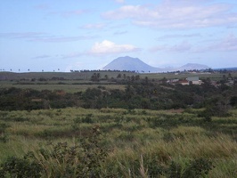 St Kitts Train Ride33